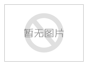 國家電網(wǎng)公司在京發(fā)布《促進新能源發(fā)展白皮書(2016)》 積極支持新能源發(fā)展